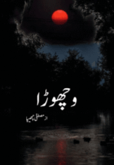 Vichoda by Mustafa Chhippa